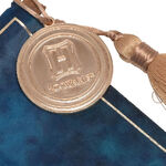 Harry Potter Ravenclaw Hanging Banner - WB230