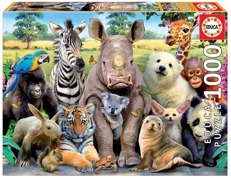 Educa Puzzle It's a Class Photo 1000 pieces - 015.517