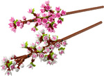 LEGO Cherry Blossoms - 40725