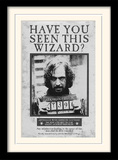 Harry Potter (Sirius Wanted) Wooden Framed Print (30x40) - FP10611P
