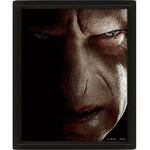 Harry Potter (Harry VS Voldemort) 3D Lenticular Poster (Framed) - EPPL71335