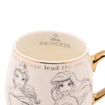 Disney Princess Mug 300ml - DI2381