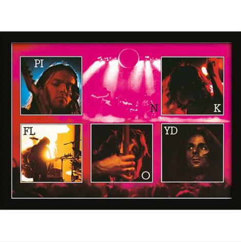 Pink Floyd (Live) Wooden Framed Print (30x40) - FP10349P