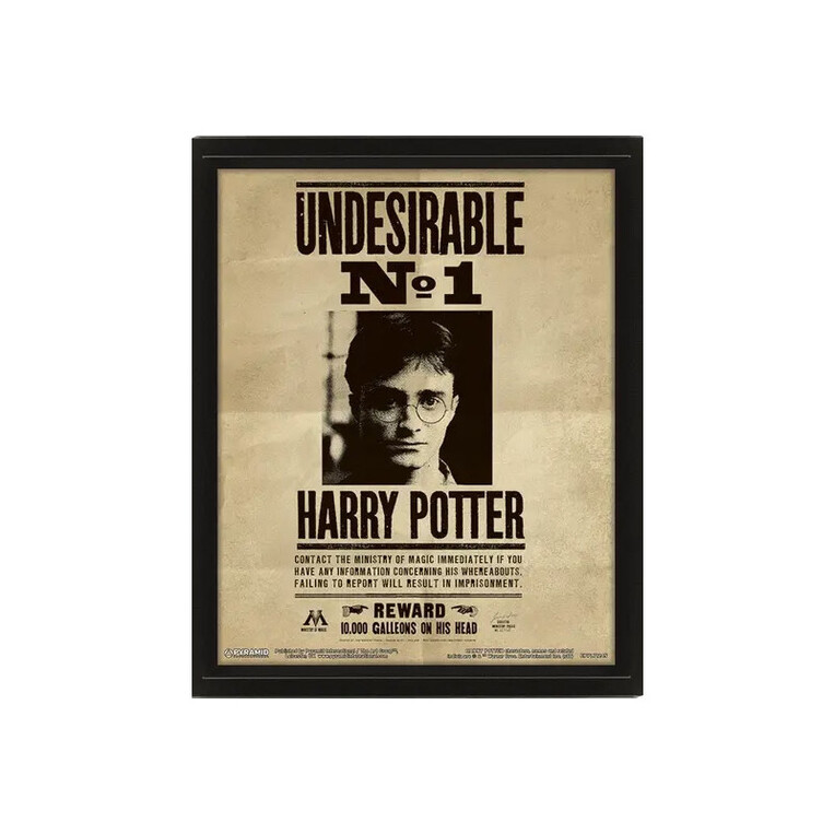 Harry Potter Harry Sirius 3D Lenticular Poster 20x25 PVC - EPPL71245