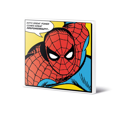Marvel Spider-Man (Quote) Canvas 40 x 40cm - DC95051