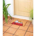 Snoopy Doormat - FGE0021