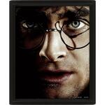 Harry Potter (Harry VS Voldemort) 3D Lenticular Poster (Framed) - EPPL71335