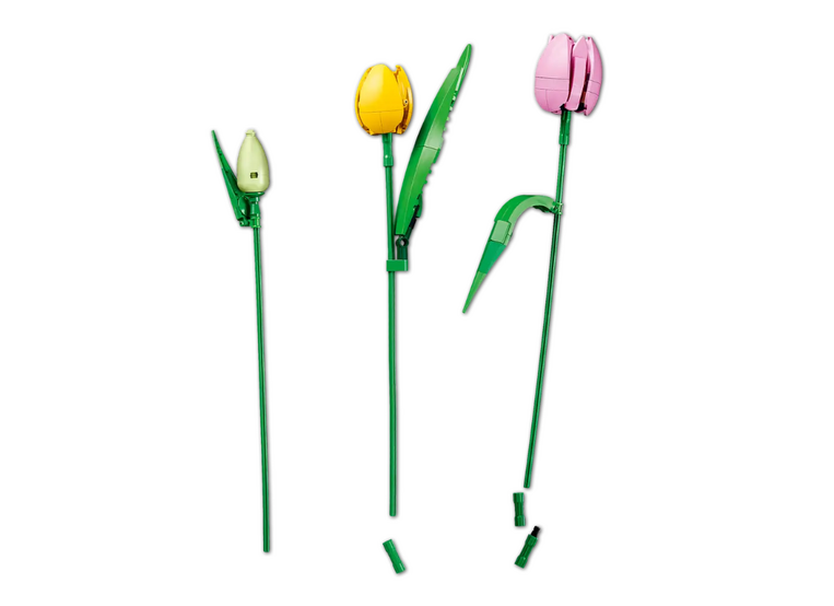 LEGO Botanical Tulip Bouquet - 11501