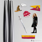 Harry Potter Gryffindor Magnet Set - DO5021