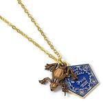 Harry Potter: Necklace & Charm "Chocolate frog" (silver plated) - EWNX0157