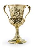 Harry Potter - The Hufflepuff Cup 1/1 Replica - NN8689