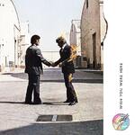 Pink Floyd (Wish You Were Here) 2.5cm Canvas Print 40 x 40cm - DC95987C