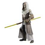 Star Wars: The Clone Wars Black Series Action Figure Jedi Temple Guard 15 cm - G0887
