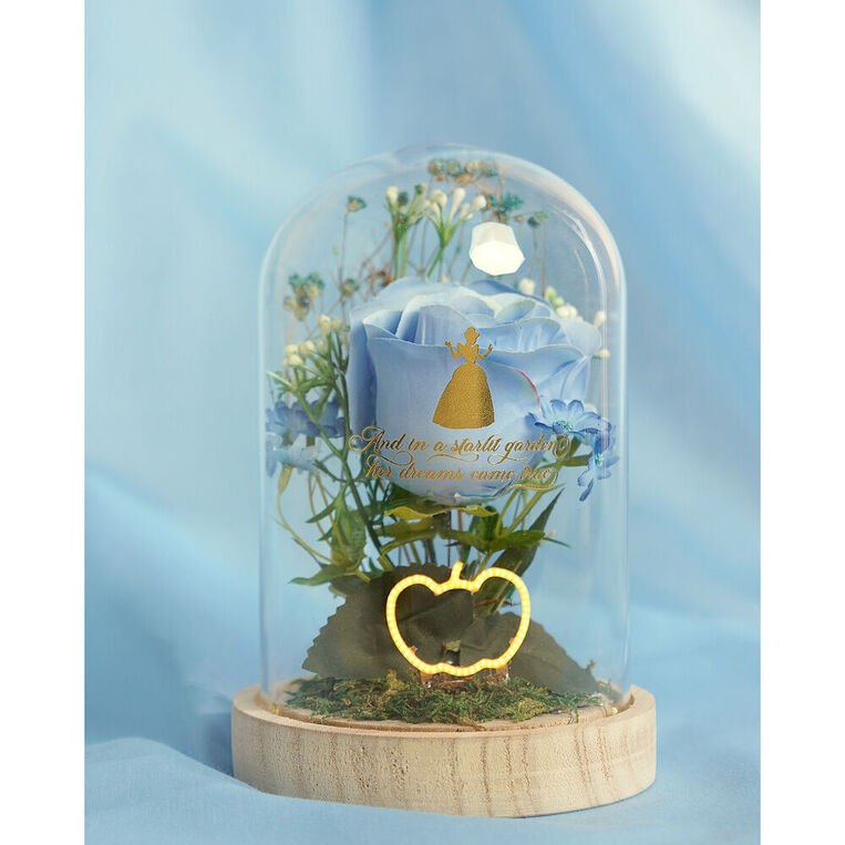 Disney Princess Cinderella Florals In A Clonche With Neon Light - DI2345