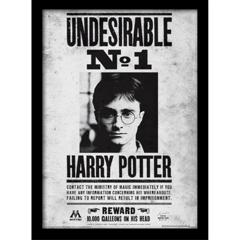Harry Potter (Undesirable No1) Wooden Framed Print (30x40) - FP10616P