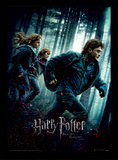 Harry Potter (Deathly Hallows Part 1) Wooden Framed 30 x 40cm Print - FP10688P