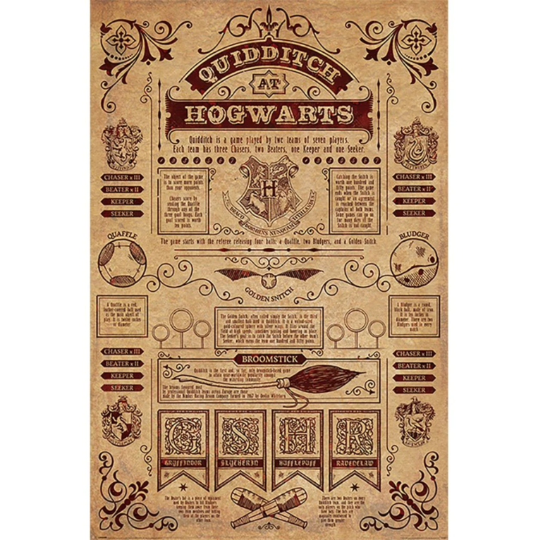 Harry Potter (Quidditch At Hogwarts) Maxi - PP34067