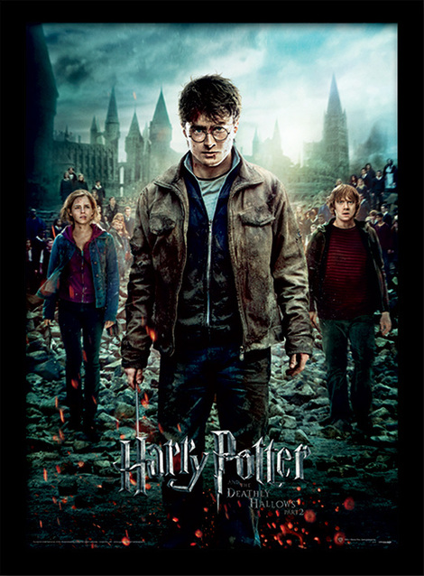 Harry Potter (Deathly Hallows Part 2) Wooden Framed 30 x 40cm - FP10689P