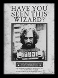 Harry Potter (Sirius Wanted) Wooden Framed Print (30x40) - FP10611P