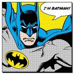 DC Comics Batman (I'm Batman) Canvas 40 x 40 cm - DC95052