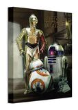 Star Wars (Droids) Canvas Print 30 x 40cm - WDC12125