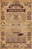 Harry Potter (Quidditch at Hogwarts) Canvas 60 x 80 cm - DC99975