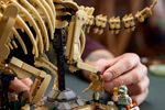 LEGO Dinosaur Fossils: Triceratops - 77985