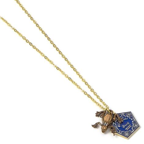 Harry Potter: Necklace & Charm "Chocolate frog" (silver plated) - EWNX0157