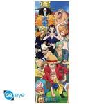 One Piece - Door Poster - Crew (53x158) - ABYDCO451