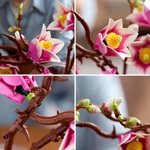 LEGO Botanical Magnolia Branches - 11510