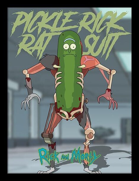 Rick and Morty (Pickle Rick) Wooden Framed 30 x 40cm Print - FP12157P