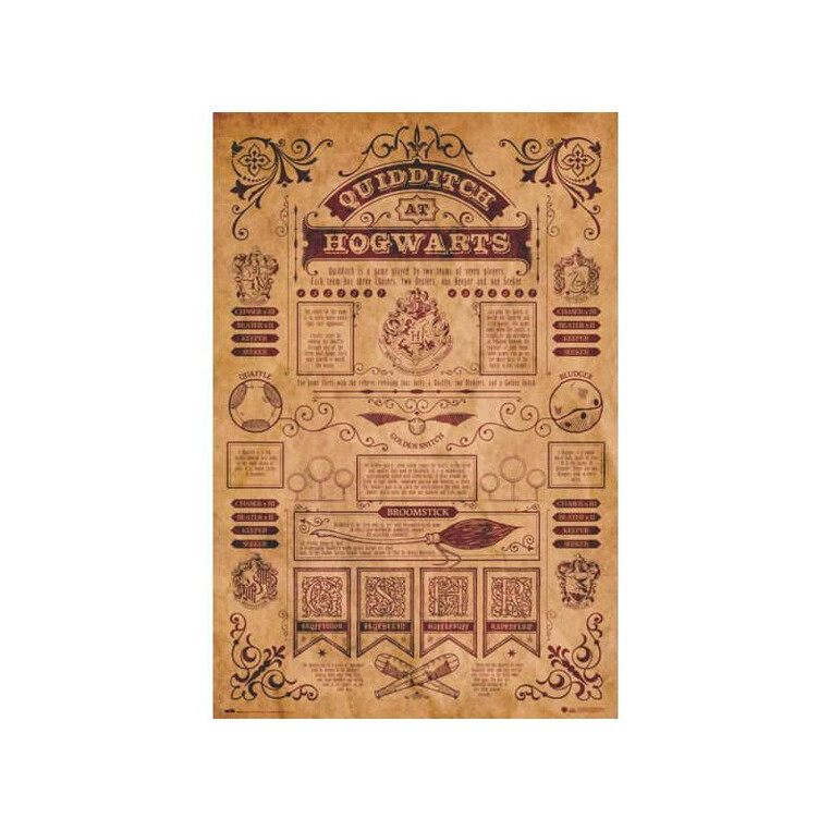 Harry Potter (Quidditch at Hogwarts) Canvas 60 x 80 cm - DC99975