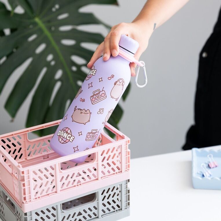 Pusheen Moments Stainless Steel Bottle 500ml - BMHC051