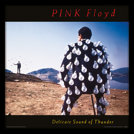Pink Floyd (Delicate Sound of Thunder) Album Cover Wooden Framed Print 31.5 x 31.5cm - ACPPR48131