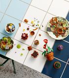 LEGO Icons Botanical Tiny Plants - 10329