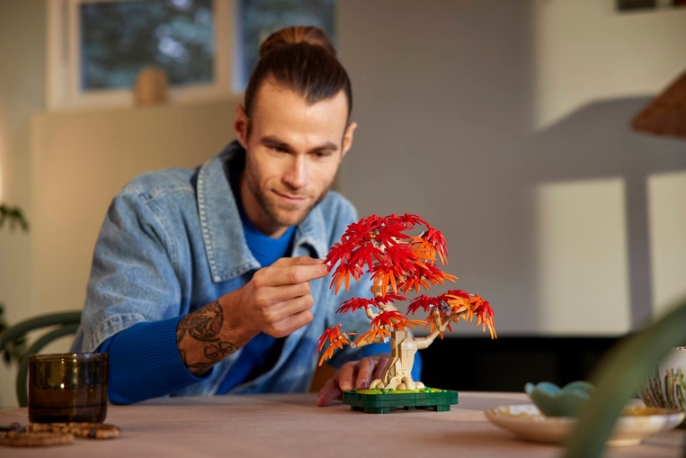 LEGO Botanical Japanese Red Maple Bonsai Tree - 10348