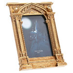Harry Potter Hogwarts Gold Photo Frame - WB220