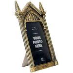 Harry Potter Mirror of Erised Photo Frame - NR250120