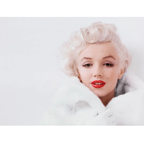 Marilyn Monroe (White) Canvas 30 x 40cm - DC92172