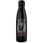 Harry Potter - Sirius Black Wanted 500ml Insulated Bottle - DO4026