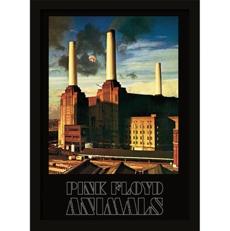 Pink Floyd (Animals) Wooden Framed Print (30x40) - FP10344P