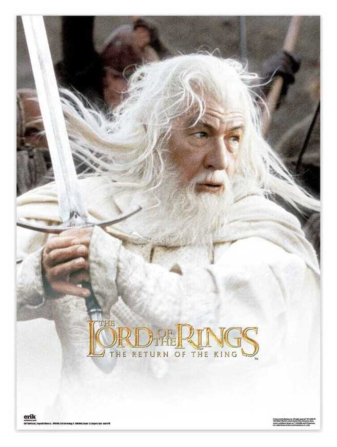 The Lord of the Rings Poster 38 x 52 cm Set of 2 - SETMP009