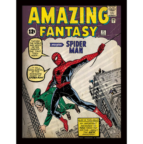Marvel Spider-Man (Issue 1) Wooden Framed Print (30x40) - FP12111P