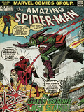 MARVEL Spider-Man (Green Goblin)  Canvas Print 60 x 80cm - WDC90445