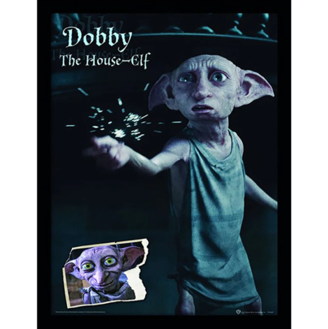 Harry Potter (Dobby) Wooden Framed Print (30x40) - FP11036P