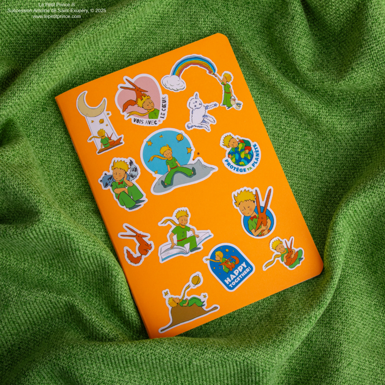 The Little Prince Cosmic Stickers - CR5261