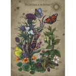 Ravensburger Puzzle 1000 pieces - Κύκλος Ζωής της Πεταλούδας - 12001435