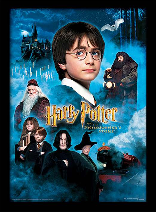 Harry Potter (Philosophers Stone) Wooden Framed Print 30 x 40cm - FP10683P