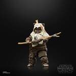 Star Wars Episode VI 40th Anniversary Black Series Action Figure Paploo 15 cm - F7073