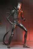 Alien: Romulus Action Figure Ultimate Xenomorph XX121 18 cm - NECA51742-01